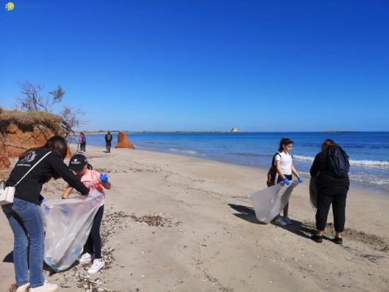 Libera Torre Guaceto: trovato nido di fratino durante la pulizia - Corriere Salentino