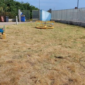 Surbo, il sindaco col decespugliatore anticipa i lavori della ditta incaricata per consentire ai bambini di usufruire del parco dell’asilo - Corriere Salentino