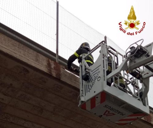 Piovono calcinacci dal ponte, intervengono i vigili del fuoco: chiuso un tratto della provinciale - Corriere Salentino