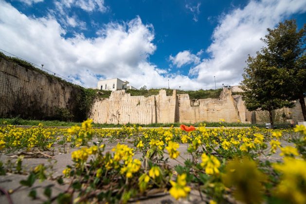 Tagghiate Urban Factory: apre il nuovo parco urbano a Lecce dal 1 maggio in Via Dei Ferrari - Corriere Salentino