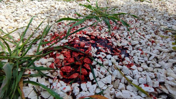 Pasqua di sangue nel Salento: giovane perde il controllo della moto e si schianta sulla rotatoria, vani i soccorsi - Corriere Salentino