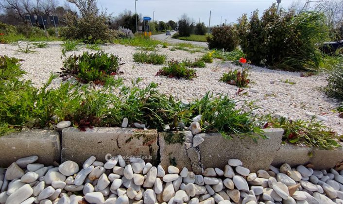 Pasqua di sangue nel Salento: giovane perde il controllo della moto e si schianta sulla rotatoria, vani i soccorsi - Corriere Salentino