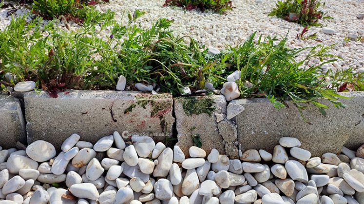 Pasqua di sangue nel Salento: giovane perde il controllo della moto e si schianta sulla rotatoria, vani i soccorsi - Corriere Salentino