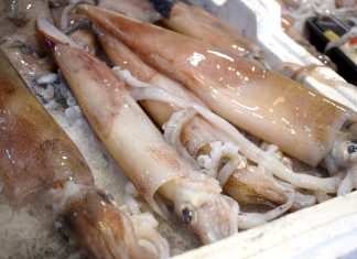 Venerdì Santo, più pesce sulle tavole pugliesi ma costa più caro
