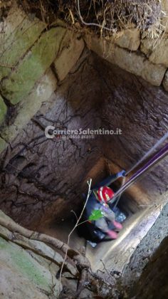 Insegue un gatto e precipita in un pozzo, i vigili del fuoco salvano un cane che rischiava di annegare - Corriere Salentino