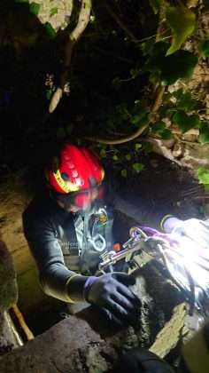 Insegue un gatto e precipita in un pozzo, i vigili del fuoco salvano un cane che rischiava di annegare - Corriere Salentino