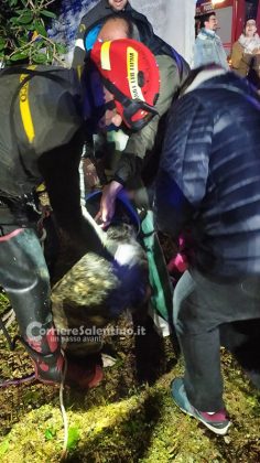 Insegue un gatto e precipita in un pozzo, i vigili del fuoco salvano un cane che rischiava di annegare - Corriere Salentino