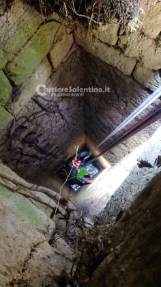 Insegue un gatto e precipita in un pozzo, i vigili del fuoco salvano un cane che rischiava di annegare - Corriere Salentino