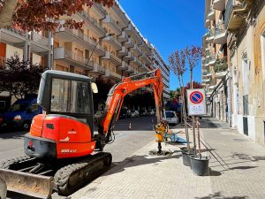 "Alberiamo la città": a dimora gli alberi donati dai cittadini - Corriere Salentino