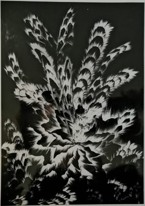 Salento a pArte: Marisa Argentiere - Corriere Salentino