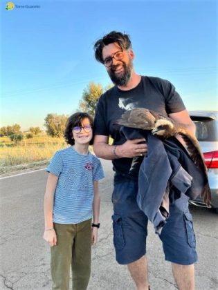 Un bambino avvista un falco in difficoltà e chiama Torre Guaceto: la storia di Al Gawsit, Marco ed il "ranger" Andrea - Corriere Salentino