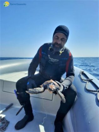 Tartaruga marina soccorsa a Torre Guaceto: nella gola l'amo di un palangaro - Corriere Salentino