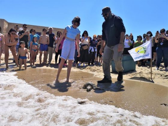 Salvate da persone di buon cuore e da una cagnolina: le tartarughe Baci e Kikka sono tornate libere a Torre Guaceto - Corriere Salentino