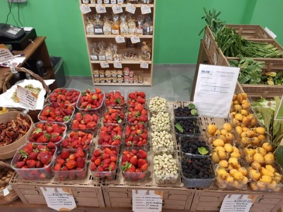 Giornata biodiversità: Coldiretti Puglia, 21mila ettari di frutteto da recuperare - Corriere Salentino