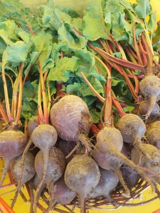 Giornata biodiversità: Coldiretti Puglia, 21mila ettari di frutteto da recuperare - Corriere Salentino