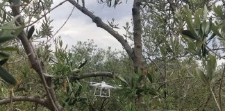 Home - Corriere Salentino