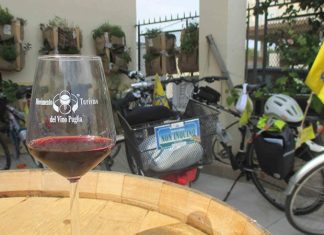 Domenica 29 maggio Cantine Aperte e Leverano in Fiore