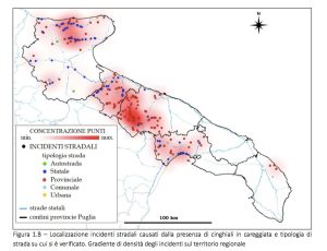 Cinghiali, danni in 396 campi e 331 incidenti d’auto. Cia Puglia: “La scienza, non l’ideologia” - Corriere Salentino