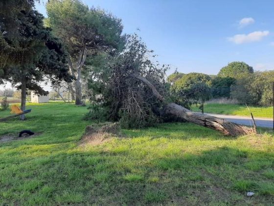 Giancarlo Capoccia: "Marine nel degrado, politiche vuote dopo i soliti annunci e proclamazioni" - Corriere Salentino