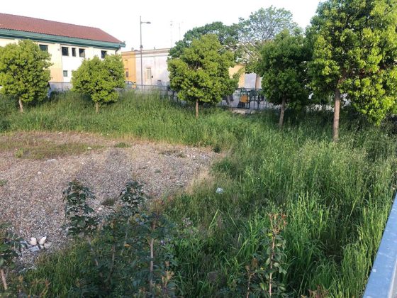 Giancarlo Capoccia: "Marine nel degrado, politiche vuote dopo i soliti annunci e proclamazioni" - Corriere Salentino