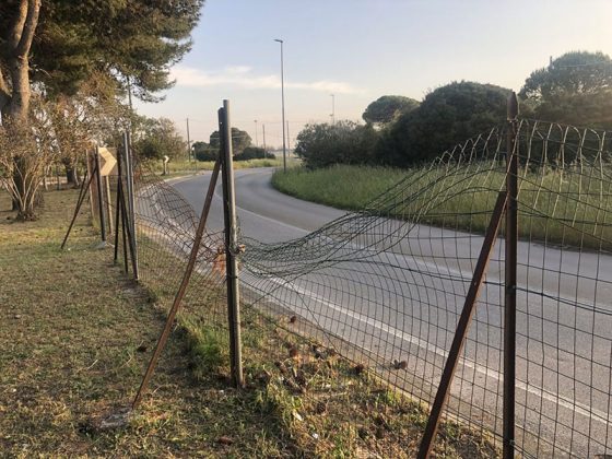 Giancarlo Capoccia: "Marine nel degrado, politiche vuote dopo i soliti annunci e proclamazioni" - Corriere Salentino