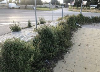 Giancarlo Capoccia: “Marine nel degrado, politiche vuote dopo i soliti annunci e proclamazioni”