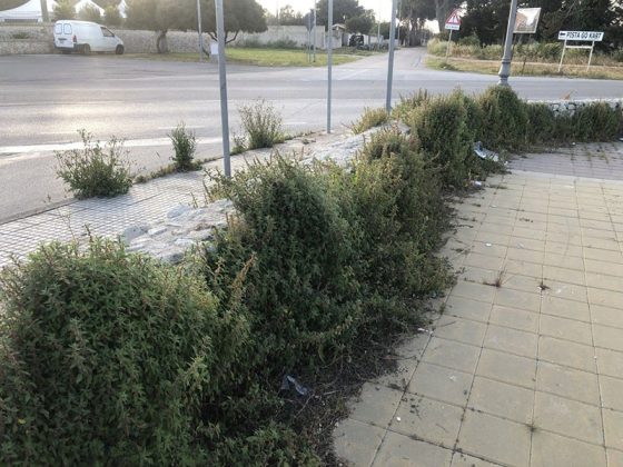 Giancarlo Capoccia: "Marine nel degrado, politiche vuote dopo i soliti annunci e proclamazioni" - Corriere Salentino