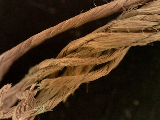 Ancient Fashion Week, Muro Leccese per una settimana sede della moda antica - Corriere Salentino