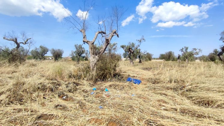 Fuoco in campagna, poi la tragica scoperta: anziano ritrovato morto carbonizzato - Corriere Salentino