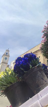 Al via “Leverano in fiore”. Fioristi da Ucraina, Usa, Inghilterra, Lettonia, Estonia, Lituania, Grecia, Italia, messico si sfidano a suon di fiori - Corriere Salentino