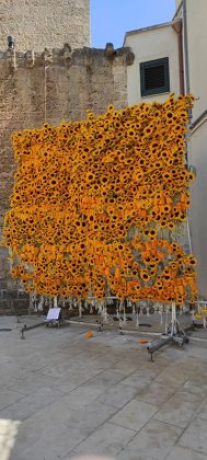 Il Salento si rialza dalla pandemia e chiede la pace con “Leverano in fiore” - Corriere Salentino