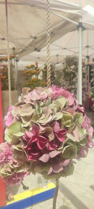 Al via “Leverano in fiore”. Fioristi da Ucraina, Usa, Inghilterra, Lettonia, Estonia, Lituania, Grecia, Italia, messico si sfidano a suon di fiori - Corriere Salentino