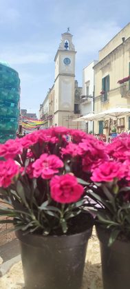 Al via “Leverano in fiore”. Fioristi da Ucraina, Usa, Inghilterra, Lettonia, Estonia, Lituania, Grecia, Italia, messico si sfidano a suon di fiori - Corriere Salentino