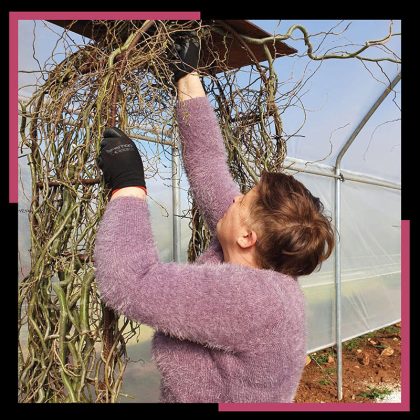 Il Salento si rialza dalla pandemia e chiede la pace con “Leverano in fiore” - Corriere Salentino