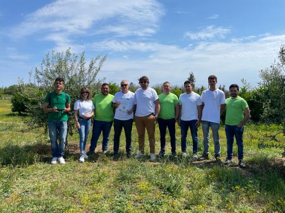 Campagna per sostenere la riforestazione degli ulivi nel Salento. Mario Vadrucci aderisce all’iniziativa dell’associazione “Olivami” - Corriere Salentino
