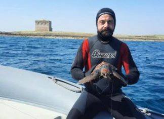 Tartaruga marina soccorsa a Torre Guaceto: nella gola l’amo di un palangaro