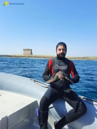 Tartaruga marina soccorsa a Torre Guaceto: nella gola l'amo di un palangaro - Corriere Salentino