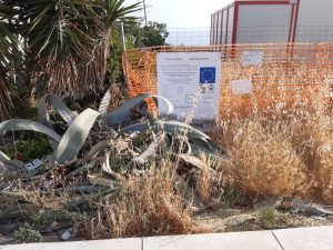 Giardino della Memoria di Santa Maria al Bagno, il prof. Congedo: “Sereni per lo sforzo fatto per riqualificare quello che era un immondezzaio e parcheggio abusivo senza un filo di erba” - Corriere Salentino