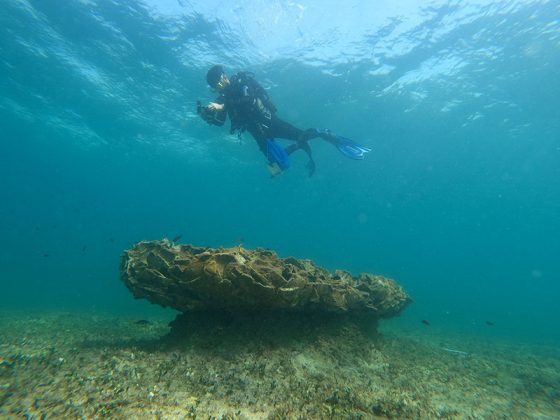 Archeologia subacquea a Porto Cesareo. Frammenti di anfore, necropoli, relitti di navi: testimonianze di un paesaggio costiero in continua evoluzione sin dall’antichità - Corriere Salentino