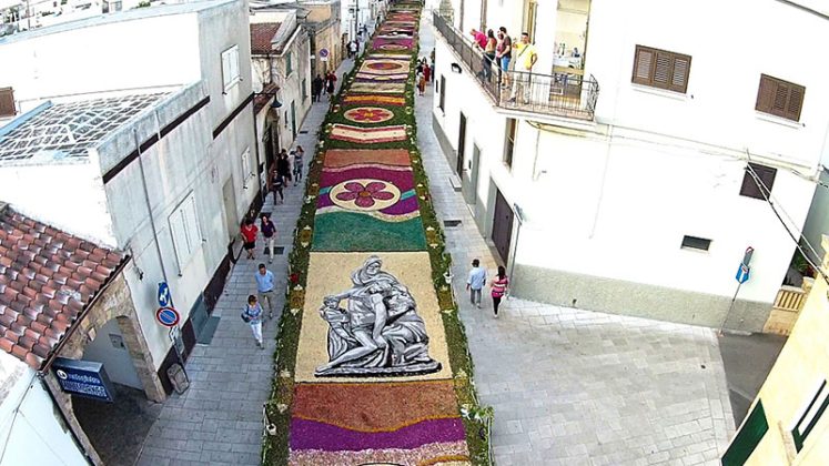 Ritorna l’Infiorata a Patù, “Sui passi di Don Tonino” il tema dei sei grandi quadri di fiori - Corriere Salentino
