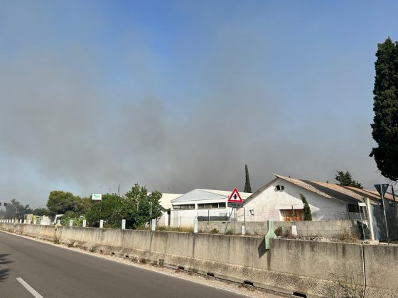 Vasto incendio sulla via per il mare: provinciale chiusa per il fumo. Evacuate abitazioni - Corriere Salentino