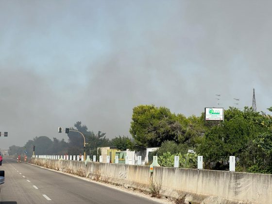 Vasto incendio sulla via per il mare: provinciale chiusa per il fumo. Evacuate abitazioni - Corriere Salentino