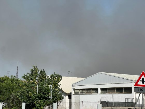 Vasto incendio sulla via per il mare: provinciale chiusa per il fumo. Evacuate abitazioni - Corriere Salentino