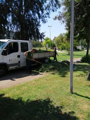 Verde nelle marine e parchi, affidati i servizi a Lupiae - Corriere Salentino