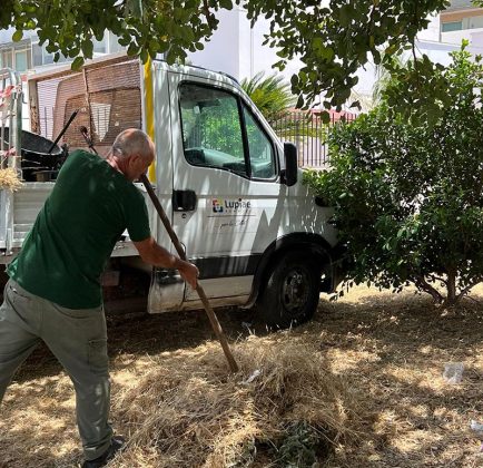 Verde nelle marine e parchi, affidati i servizi a Lupiae - Corriere Salentino