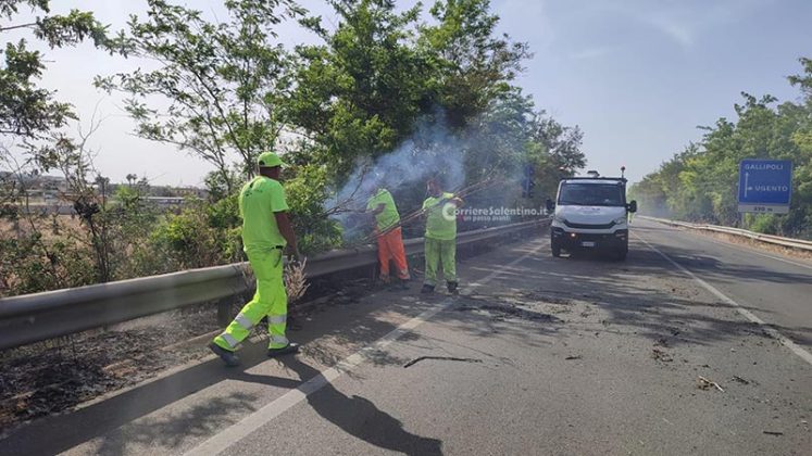 Fumo e fiamme invadono la statale: altra giornata di roghi in Salento - Corriere Salentino