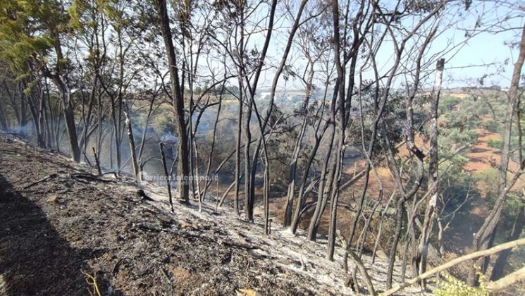 Fumo e fiamme invadono la statale: altra giornata di roghi in Salento - Corriere Salentino