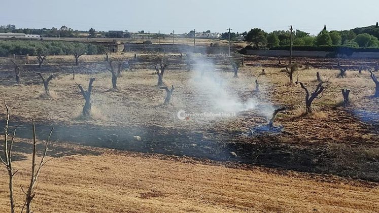Fumo e fiamme invadono la statale: altra giornata di roghi in Salento - Corriere Salentino