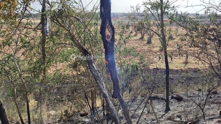 Fumo e fiamme invadono la statale: altra giornata di roghi in Salento - Corriere Salentino