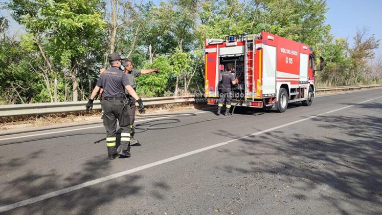 Fumo e fiamme invadono la statale: altra giornata di roghi in Salento - Corriere Salentino